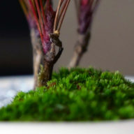 当院概要・理念